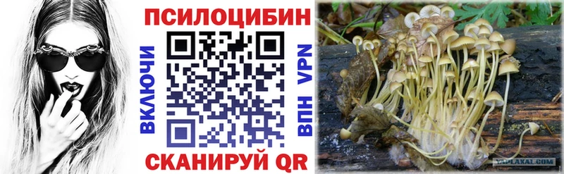 Купить закладки  Канск  Галлюциногенные грибы Magic Shrooms 